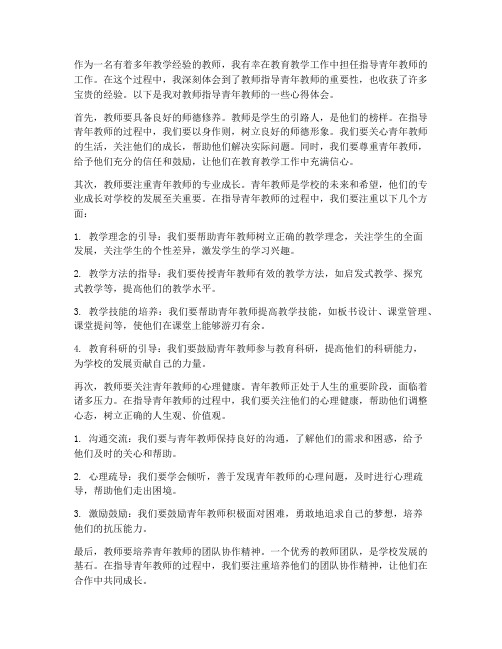 教师指导青年教师心得体会