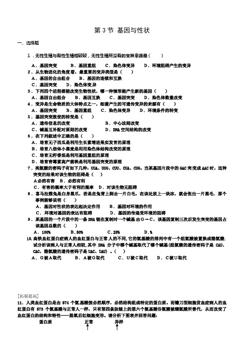 中图版生物必修2第三节基因与性状同步测试题