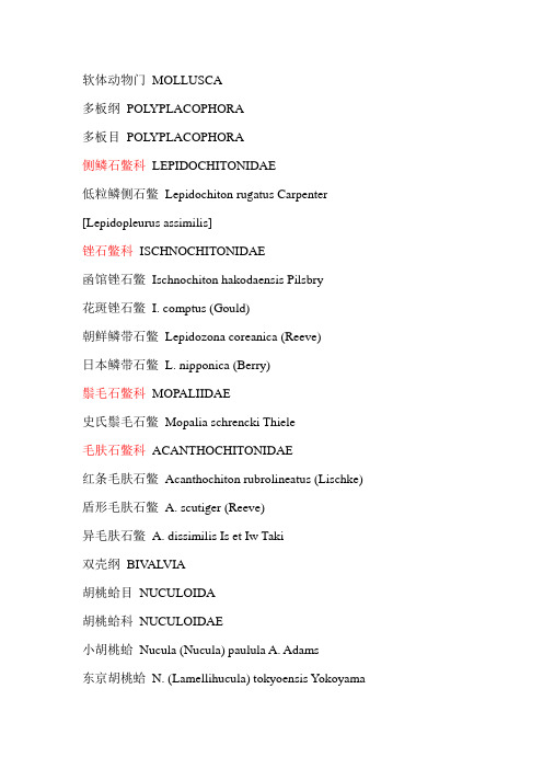 常见贝类(中文-拉丁文对照表)