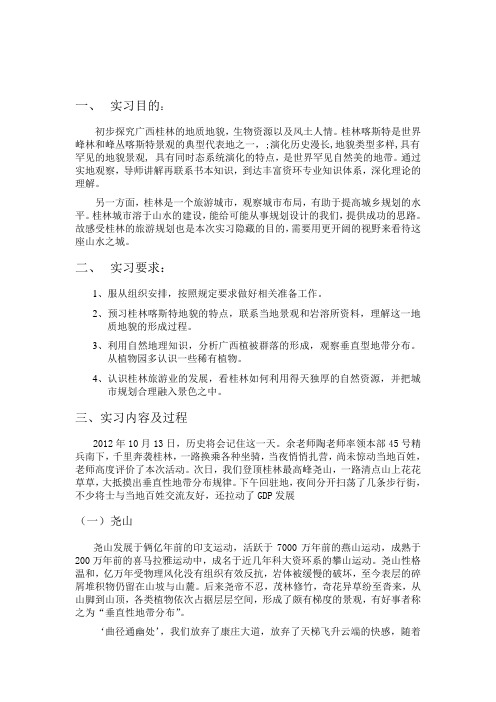 实习报告