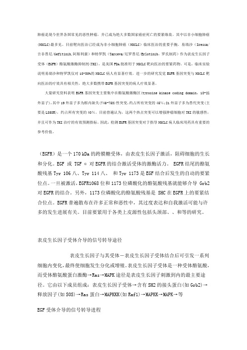 EGFRTK背景研究进展及相关酶测试