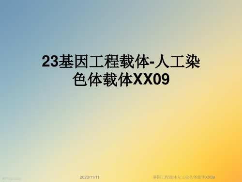 基因工程载体人工染色体载体XX09