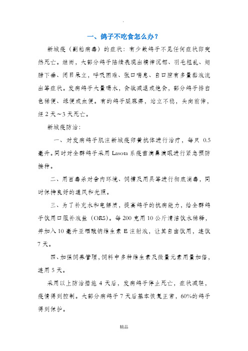 鸽子常见病治疗办法