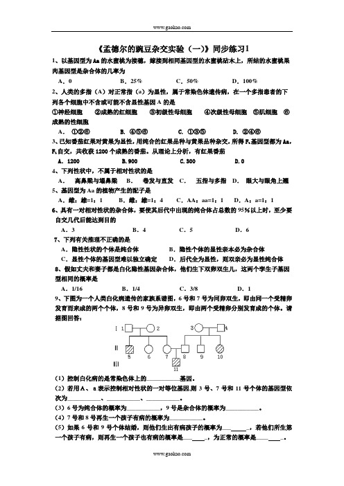 必修2同步训练