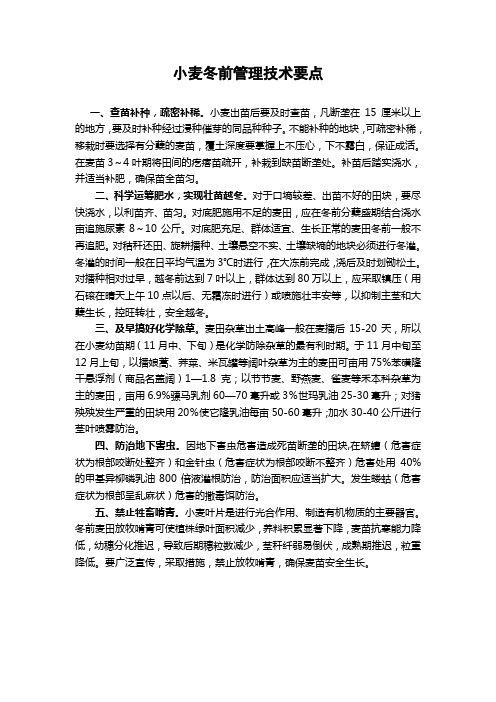 小麦冬前管理技术要点