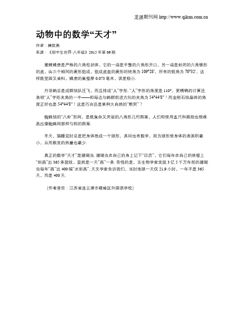动物中的数学“天才”