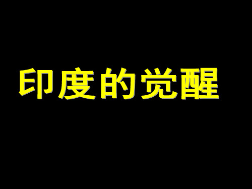 印度的觉醒(2014年)