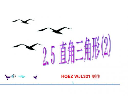八年级数学直角三角形2