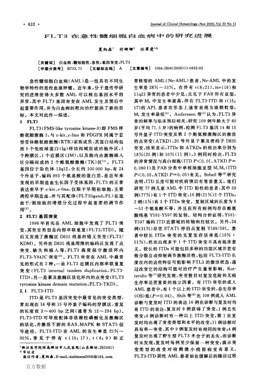 FLT3在急性髓细胞白血病中的研究进展