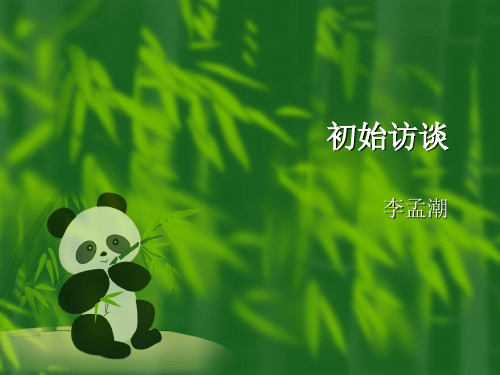 半结构化初始访谈-李孟潮