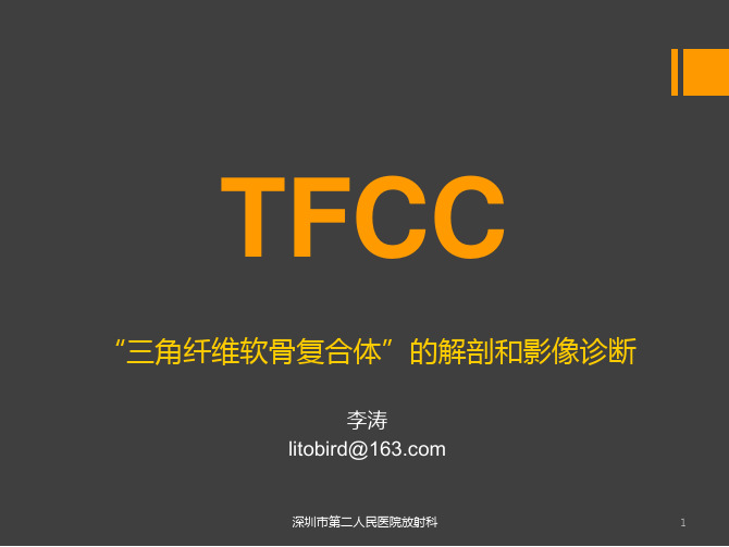 李涛-TFCC损伤(骨关节会议讲课用pdf)