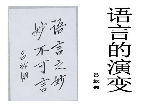 语言的演变(定稿)