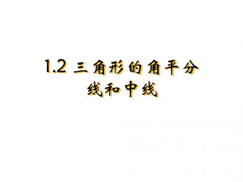 三角形的角平分线和中线-