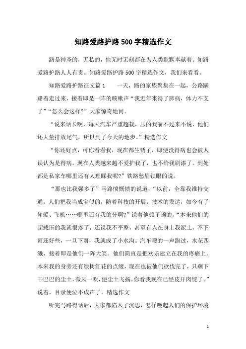 知路爱路护路500字精选作文