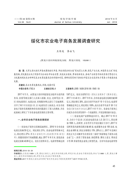 绥化市农业电子商务发展调查研究