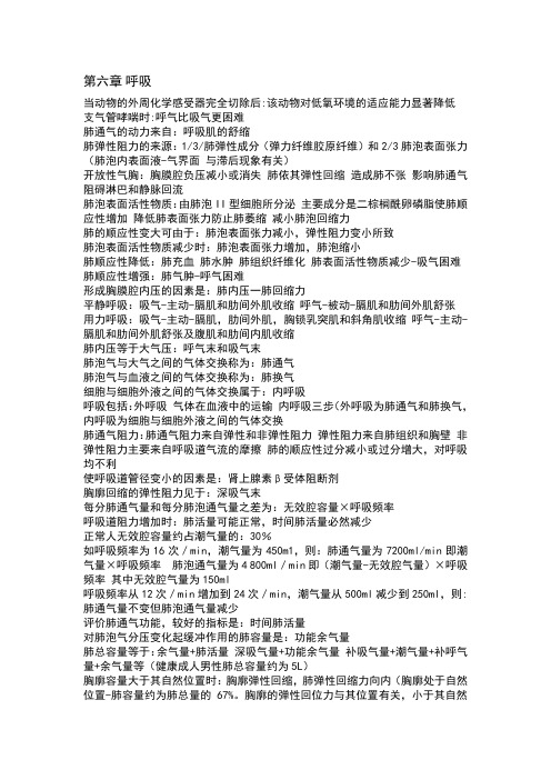 6呼吸