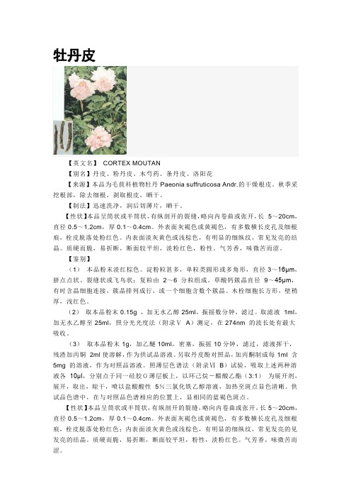 牡丹皮