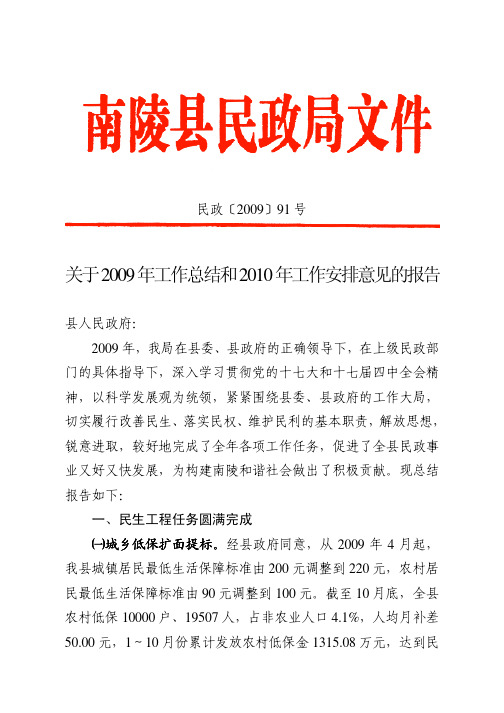 关于2009年工作总结和2010年工作安排意见的报告