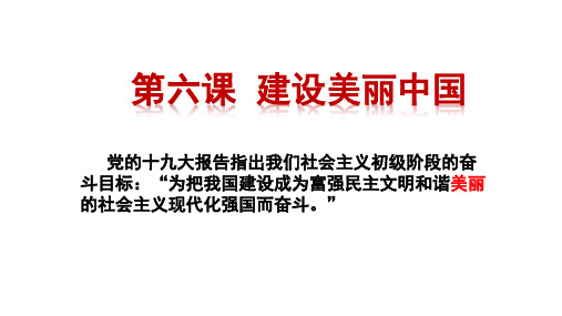 人教版道德与法治九年级上册6.1 正视发展挑战 ( 共43张PPT)