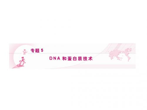 专题 5 DNA和蛋白质技术
