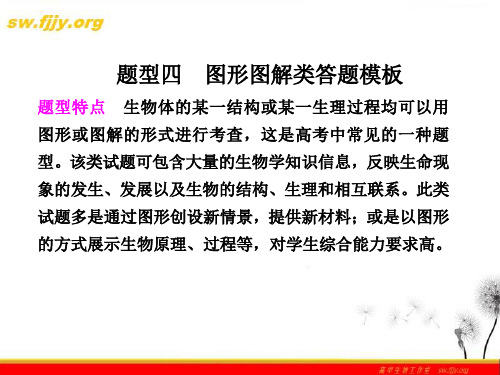 生物二轮专题复习课件：考前冲刺 专题二 题型4 图形图解类答题模板