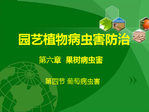 园艺植物病虫害防治讲座PPT课件