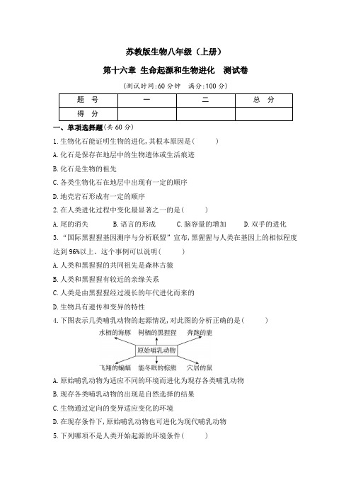新苏教版生物八年级(上册)第十六章 生命起源和生物进化 测试卷(及答案)