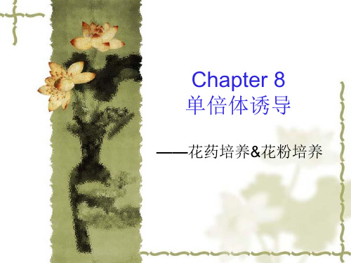 Chapter7单倍体诱导