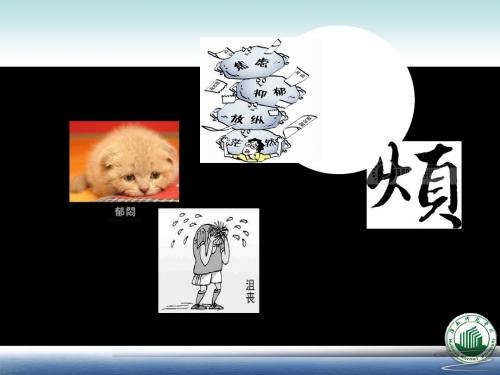 求职心理的准备与调试PPT