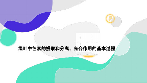 高三总复习生物课件 绿叶中色素的提取和分离、光合作用的基本过程