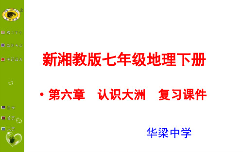 新湘教版七年级地理下册 第六章 认识大洲  复习课件