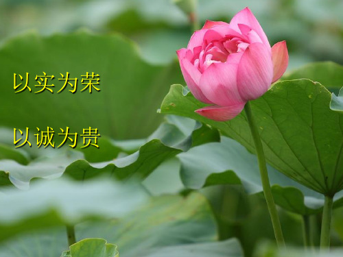 职业道德培训课件 图文