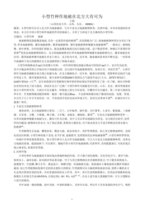 小型竹种作地被在北方大有可为