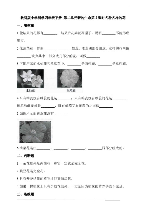 教科版小学科学四年级下册 第二单元新的生命第2课时各种各样的花  同步习题(含答案解析)