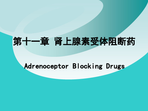 药理学 第十一章 肾上腺素受体阻断药