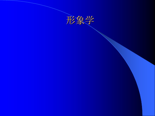8、形象学