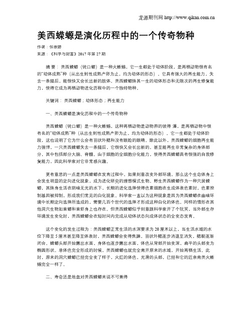 美西蝾螈是演化历程中的一个传奇物种