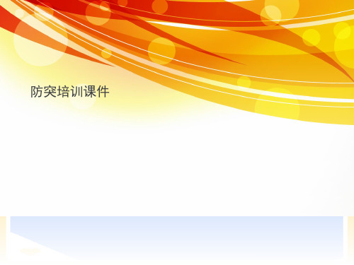 防突培训.正式版PPT文档
