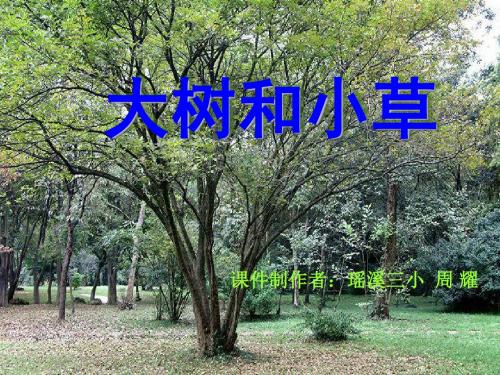 教科版小学科学三年级上册第一单元《大树和小草》PPT课件