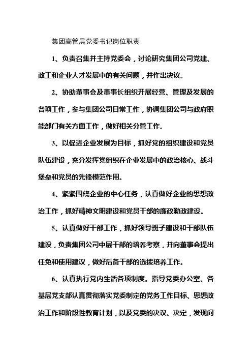 集团高管层党委书记岗位职责