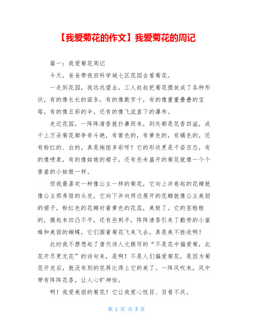 【我爱菊花的作文】我爱菊花的周记