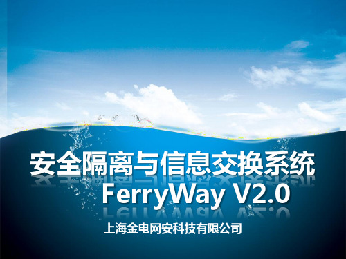 金电网安网闸