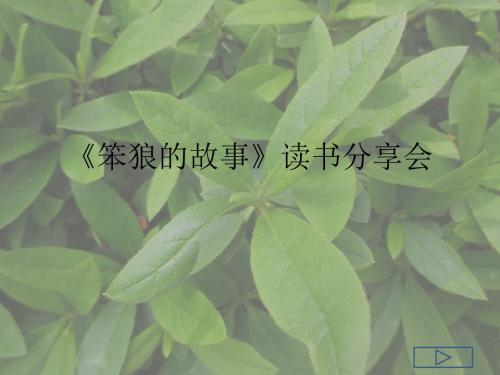 笨狼的故事》读书分享会