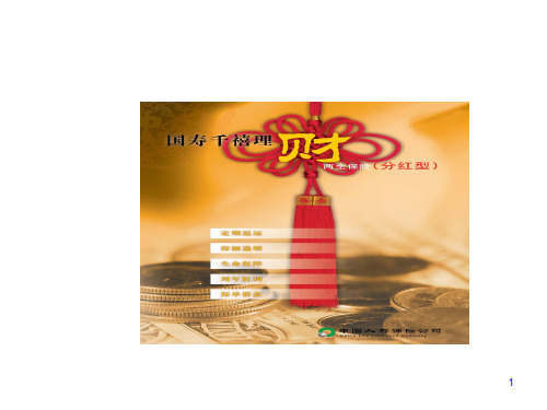 中国人寿保险公司商品介绍PPT课件( 19页)