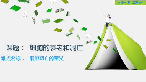 细胞的凋亡 高中生物必修一教学课件PPT 人教版