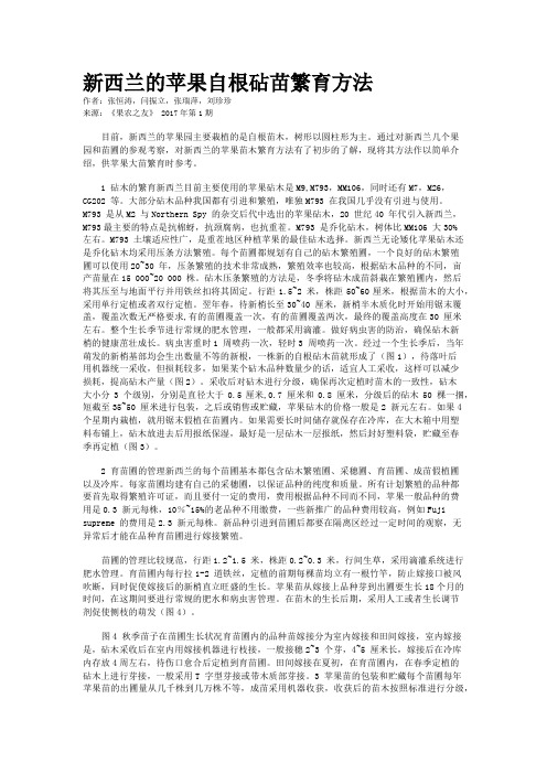 新西兰的苹果自根砧苗繁育方法