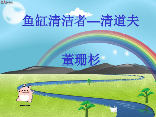 鱼缸的清洁者—清道夫