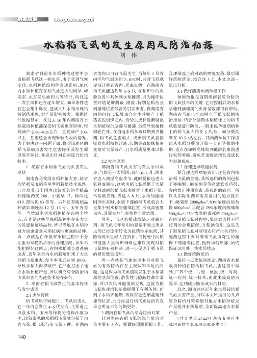 水稻稻飞虱的发生原因及防治初探