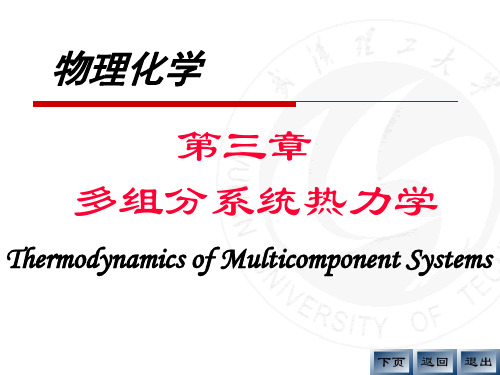 04多组分体系热力学