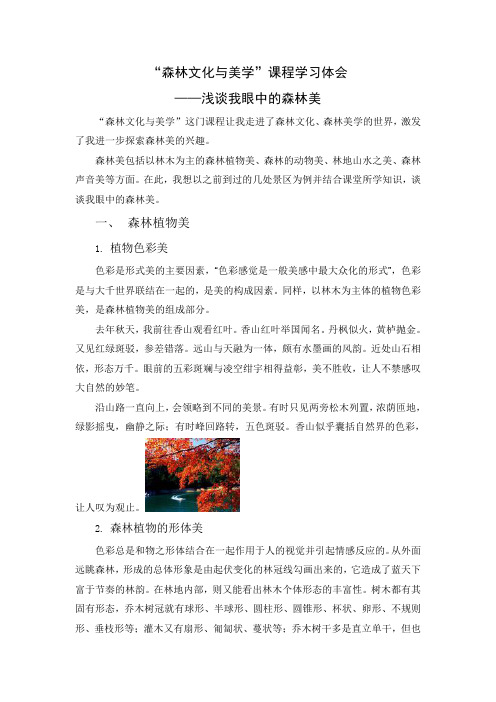 森林文化与美学
